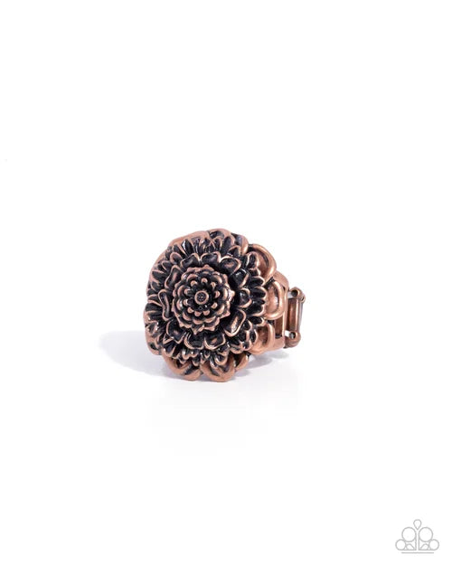 $8 Single Jewelry: Ring